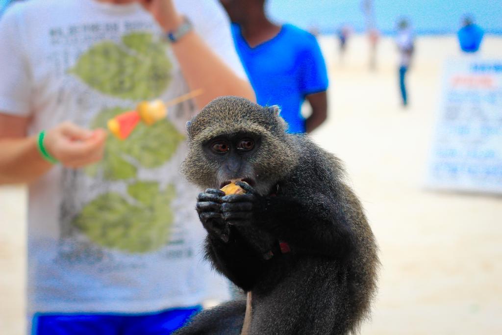 Palumboreef Beach Resort อูโร ภายนอก รูปภาพ